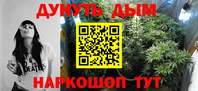 шишки Абинск