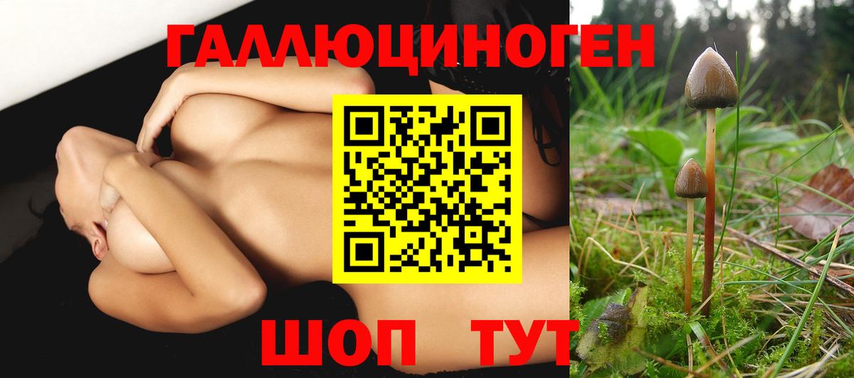 Россия  Псилоцибиновые грибы Magic Shrooms  Вход с VPN  где купить наркоту  Галлюциногенные грибы ЛСД 