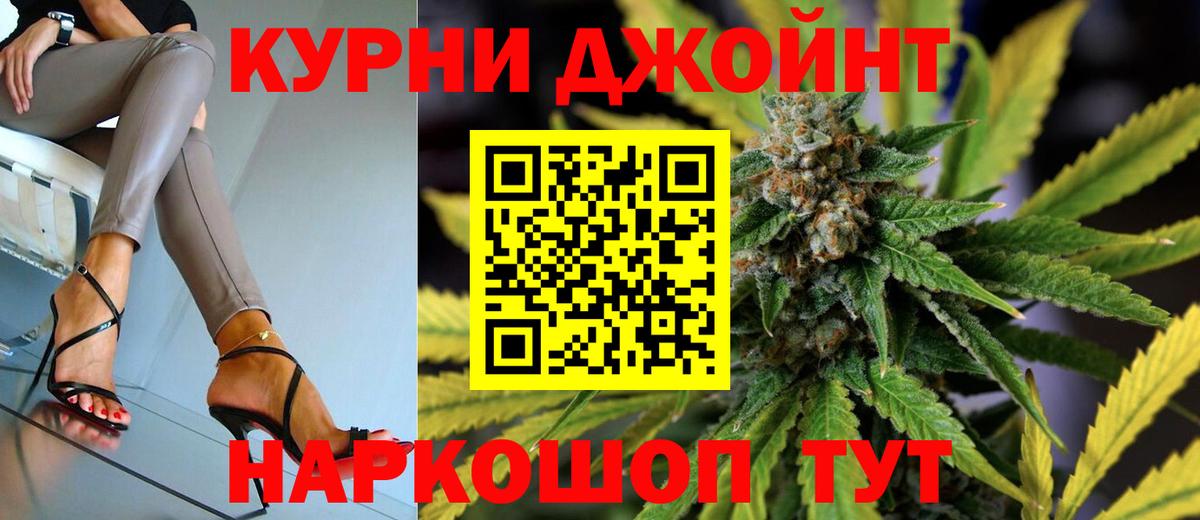 Марихуана планчик  Шишки марихуана сатива  Конопля Bruce Banner  Россия  Вход с VPN 